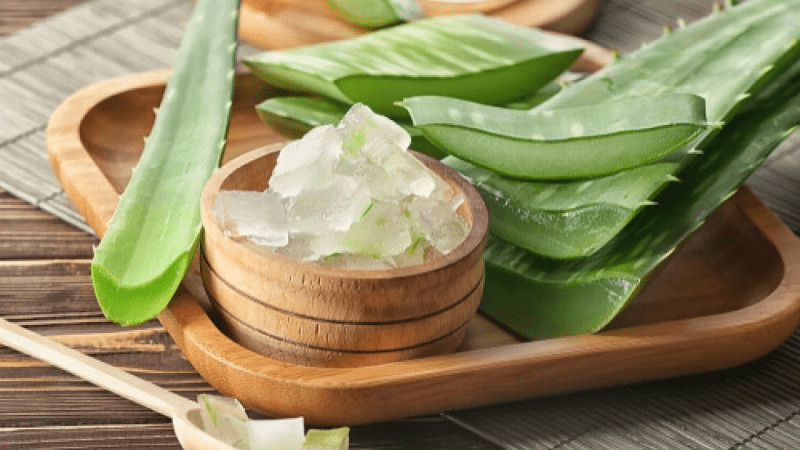Nha đam giúp da trở nên mịn màng và khỏe mạnh