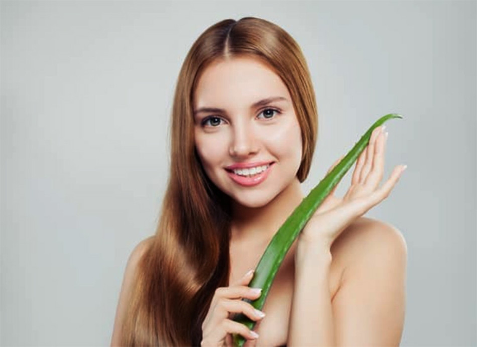Nha đam giúp kích thích mọc tóc