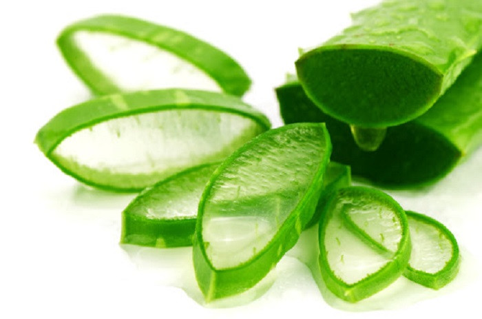 Nha đam - nguyên liệu trị mụn hiệu quả