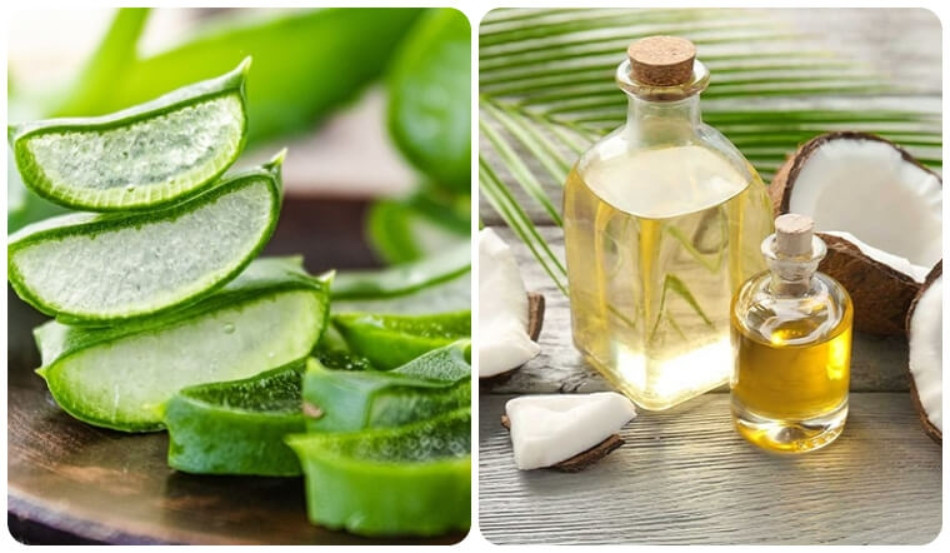 Nha đam và dầu dừa