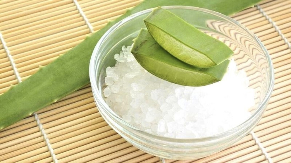 Nha đam và muối
