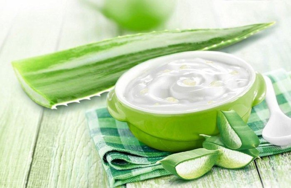 Nha đam và sữa chua