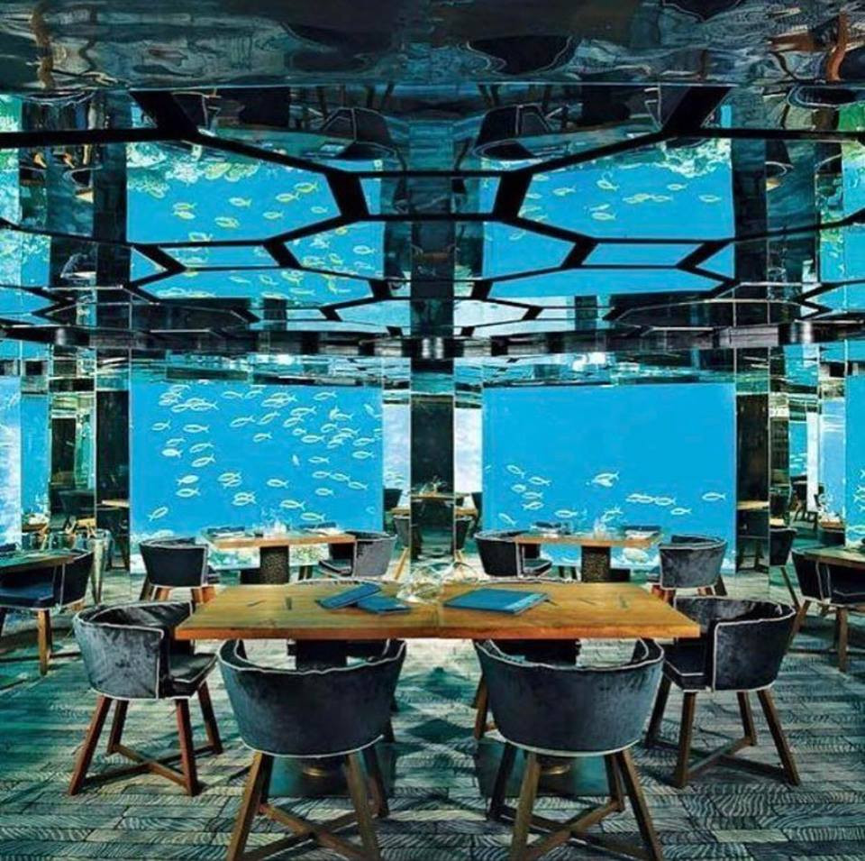 Nhà hàng SEA dưới biển Anantara Kihavah
