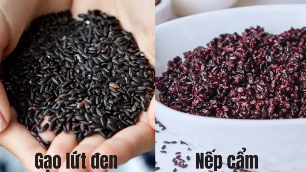 Nhận biết gạo lứt đen và gạo nếp cẩm