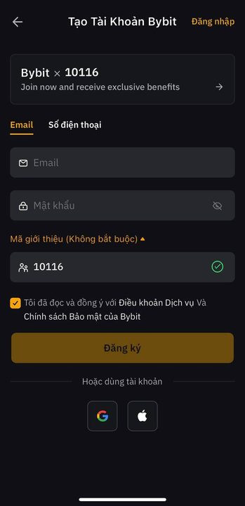 Nhập thông tin đăng ký Bybit