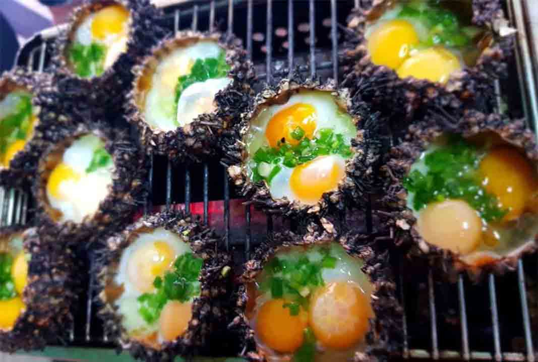 Nhum biển Phú Quốc
