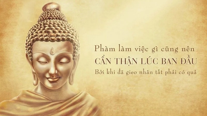 Những Câu Nói của Phật Về Nhân Quả – Bài Học Đáng Suy Ngẫm