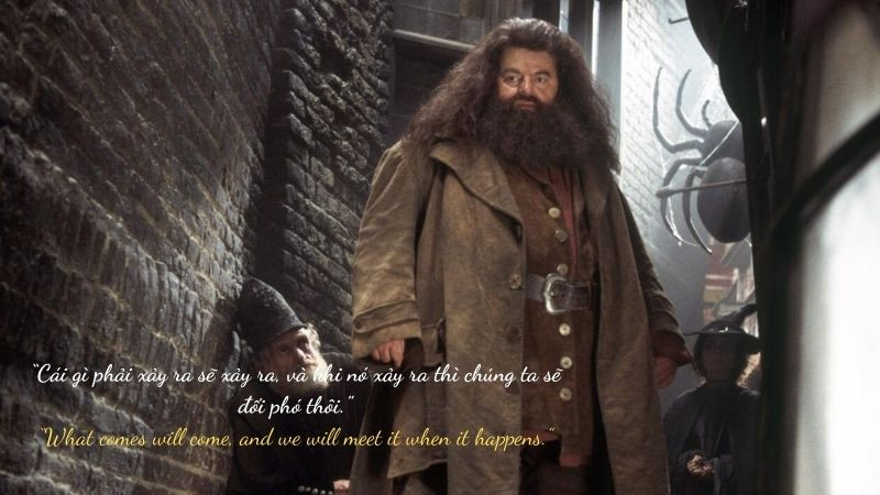 Những câu nói hay của Rubeus Hagrid trong Harry Potter