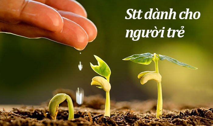 những câu nói hay về cuộc sống