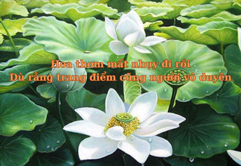 nhung-cau-tuc-ngu-noi-ve-nguoi-vo-duyen