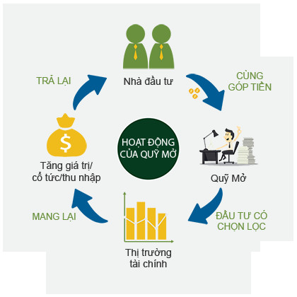 Những Lợi Ích Lớn của Quỹ Đầu Tư Phát Triển Tại Việt Nam