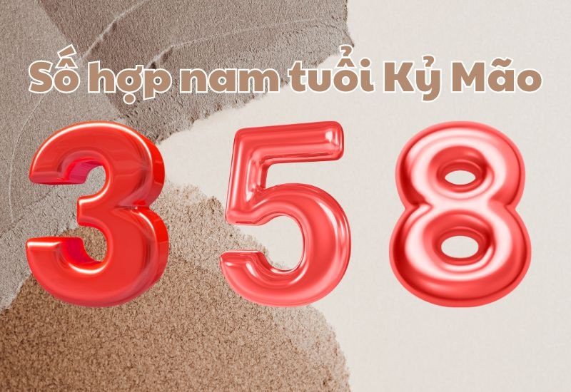 Những số hợp với nam tuổi Kỷ Mão