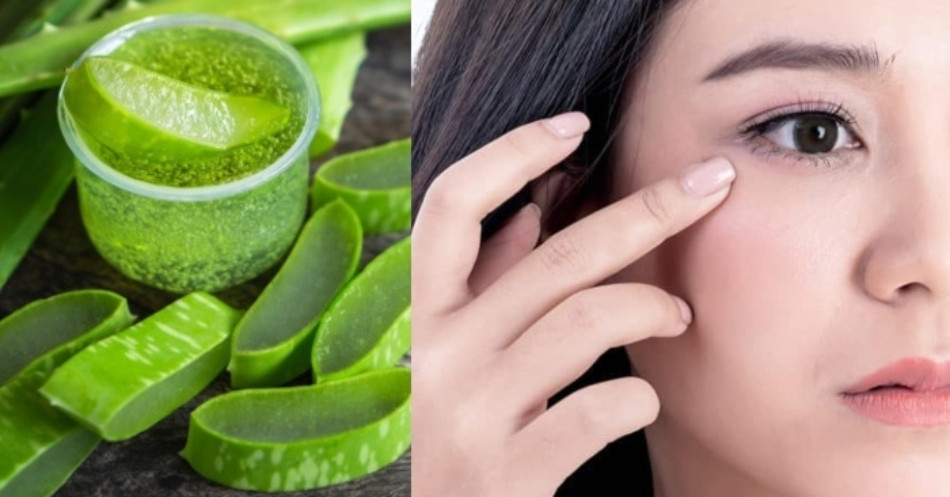 Những tác dụng tuyệt vời của nha đam
