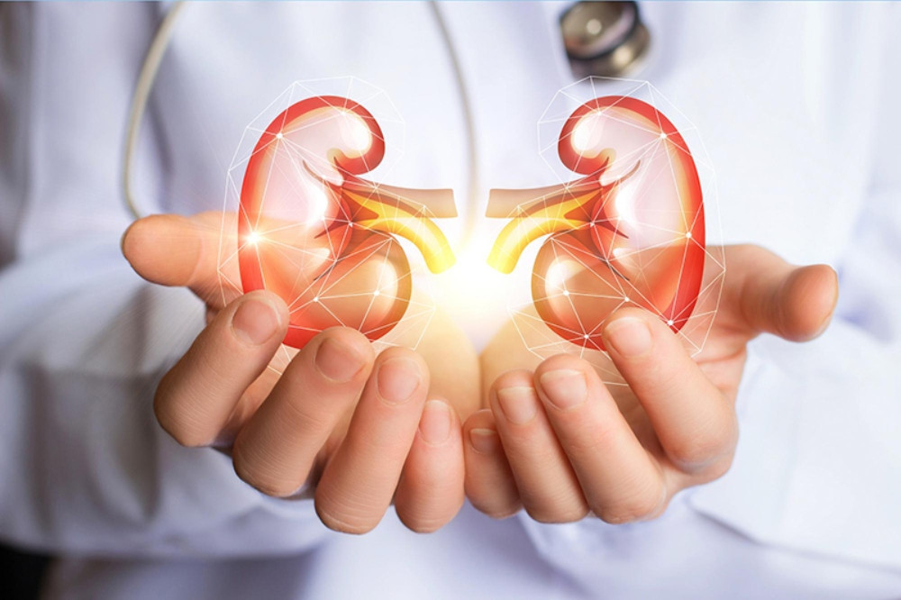 Nước gạo lứt rang và đậu đen giúp ngăn ngừa sỏi thận