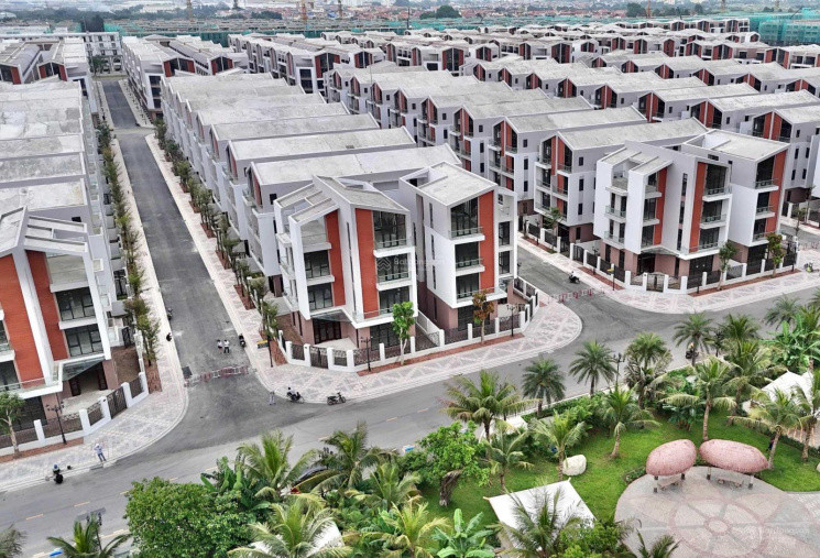 Tứ lập Ánh Dương – Thông tin cập nhật mới nhất 2024
