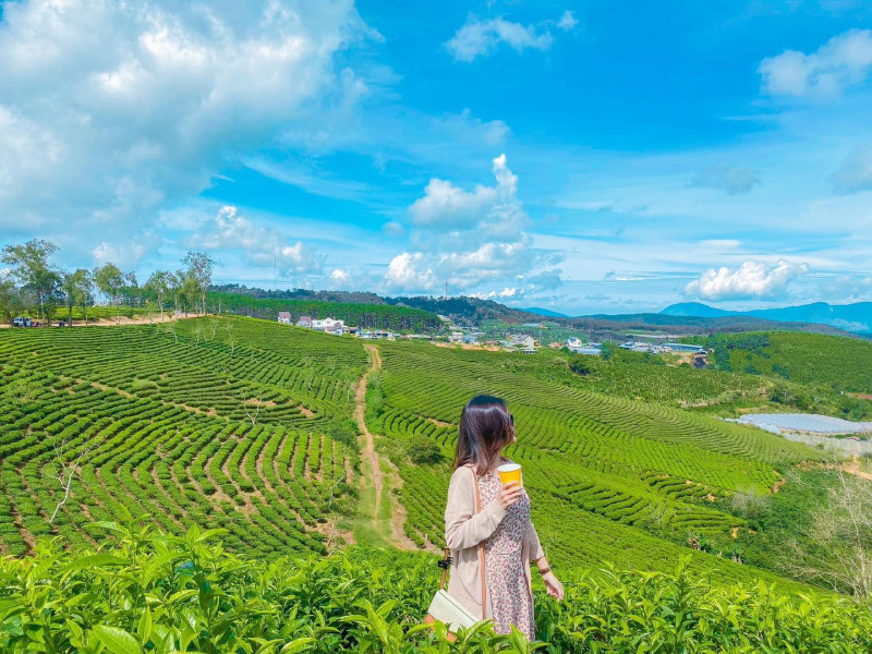 phối đồ du lịch đà lạt mùa khô