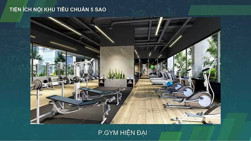 Phòng Gym Kingdom
