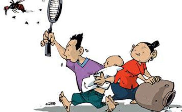 Phòng ngừa sốt xuất huyết