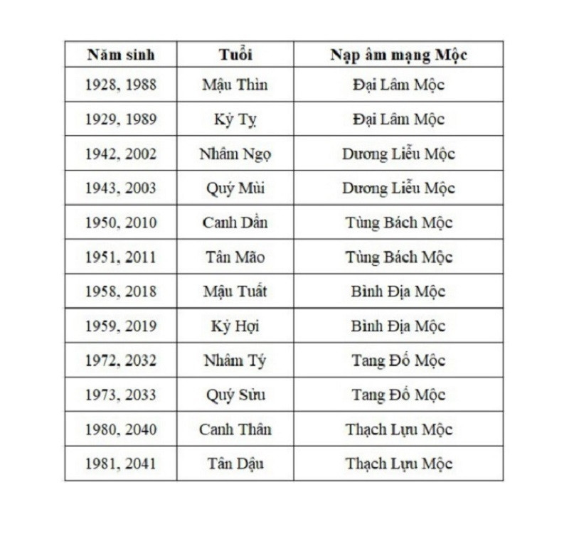 Phong Thủy Cho Gen Z Mệnh Mộc: Nguồn Năng Lượng Tích Cực và Hòa Hợp