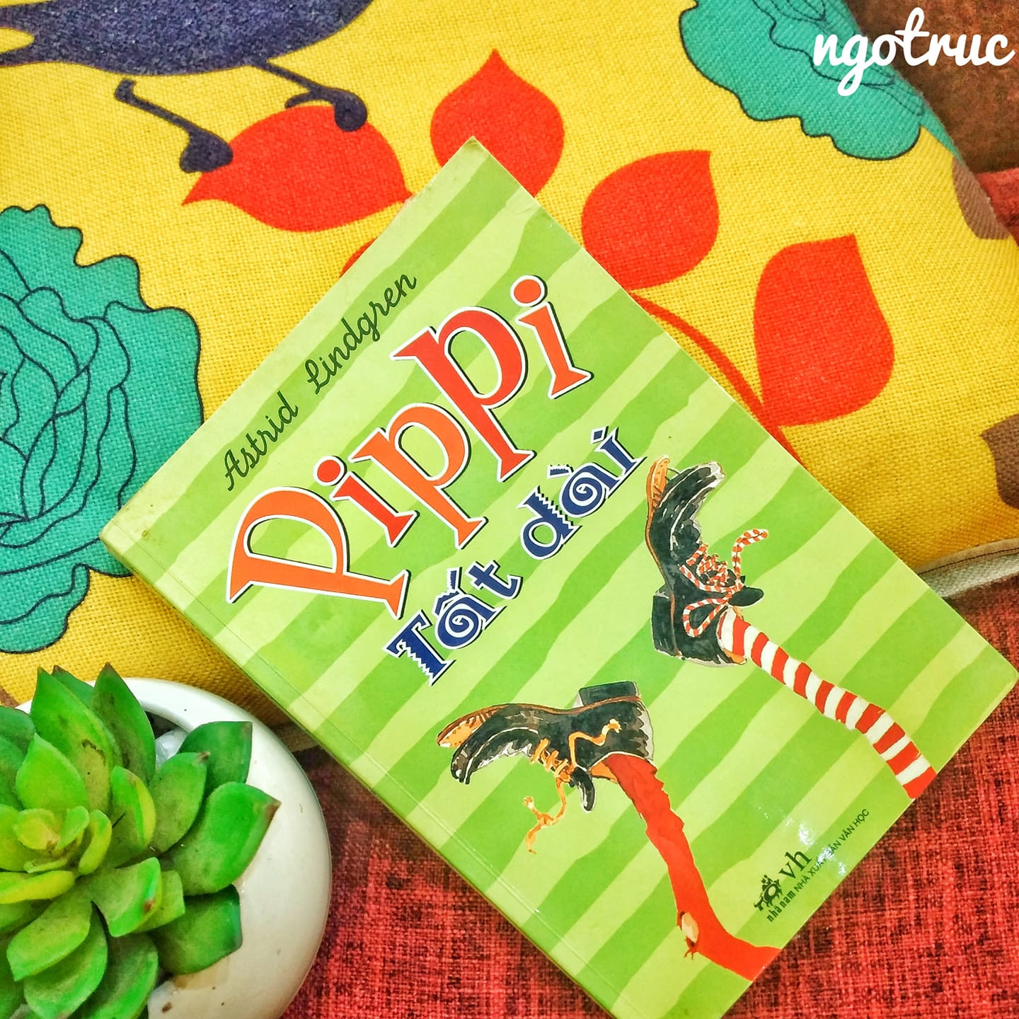 Pippi tất dài review