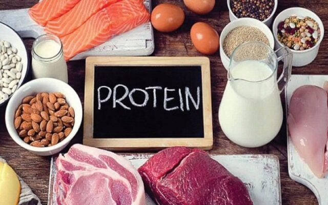 Protein trong chế độ ăn