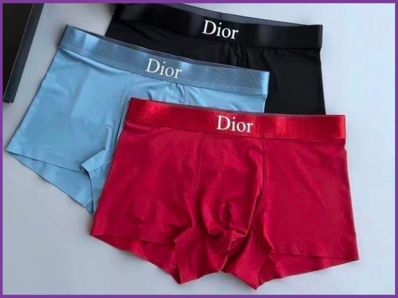 Quần lót nam Dior by Erl trị giá 750 USD, đắt nhất thế giới