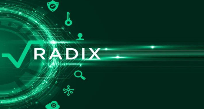 Radix