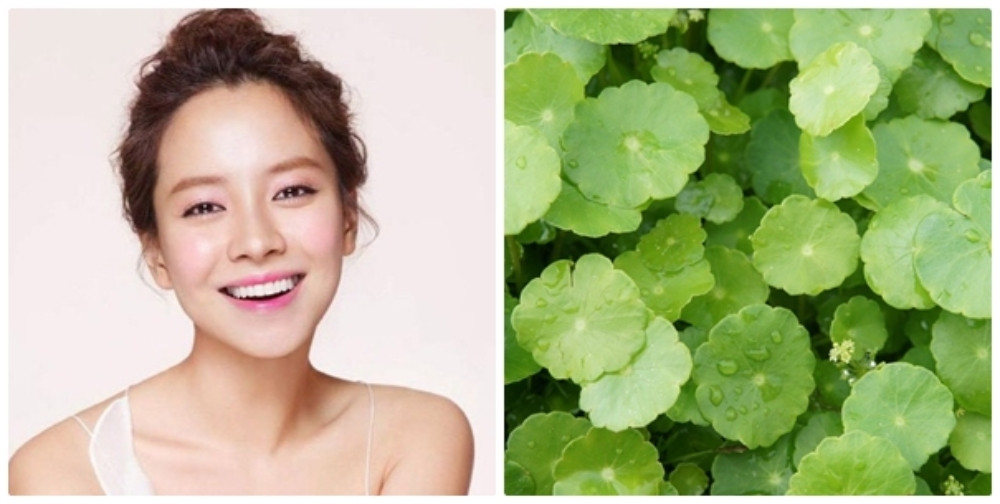 Rau má giúp dưỡng trắng và giảm thâm