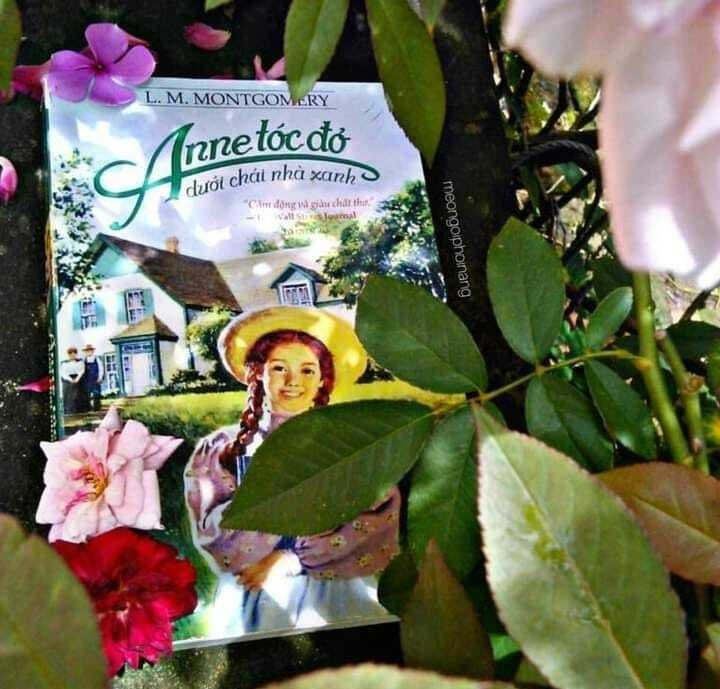 Review sách Anne tóc đỏ dưới chái nhà xanh – L.M. Montgomery