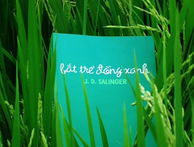Review sách Bắt trẻ đồng xanh – J.D.Salinger