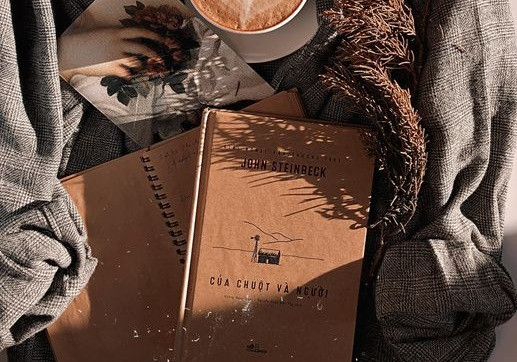 Review sách Của chuột và người của Đăng Đặt