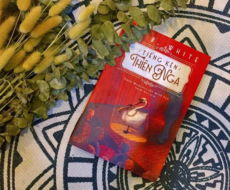 Review sách Tiếng kèn thiên nga của Cofwithoutsug