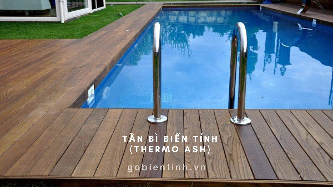Sàn gỗ Tần Bì biến tính (Thermo Ash)