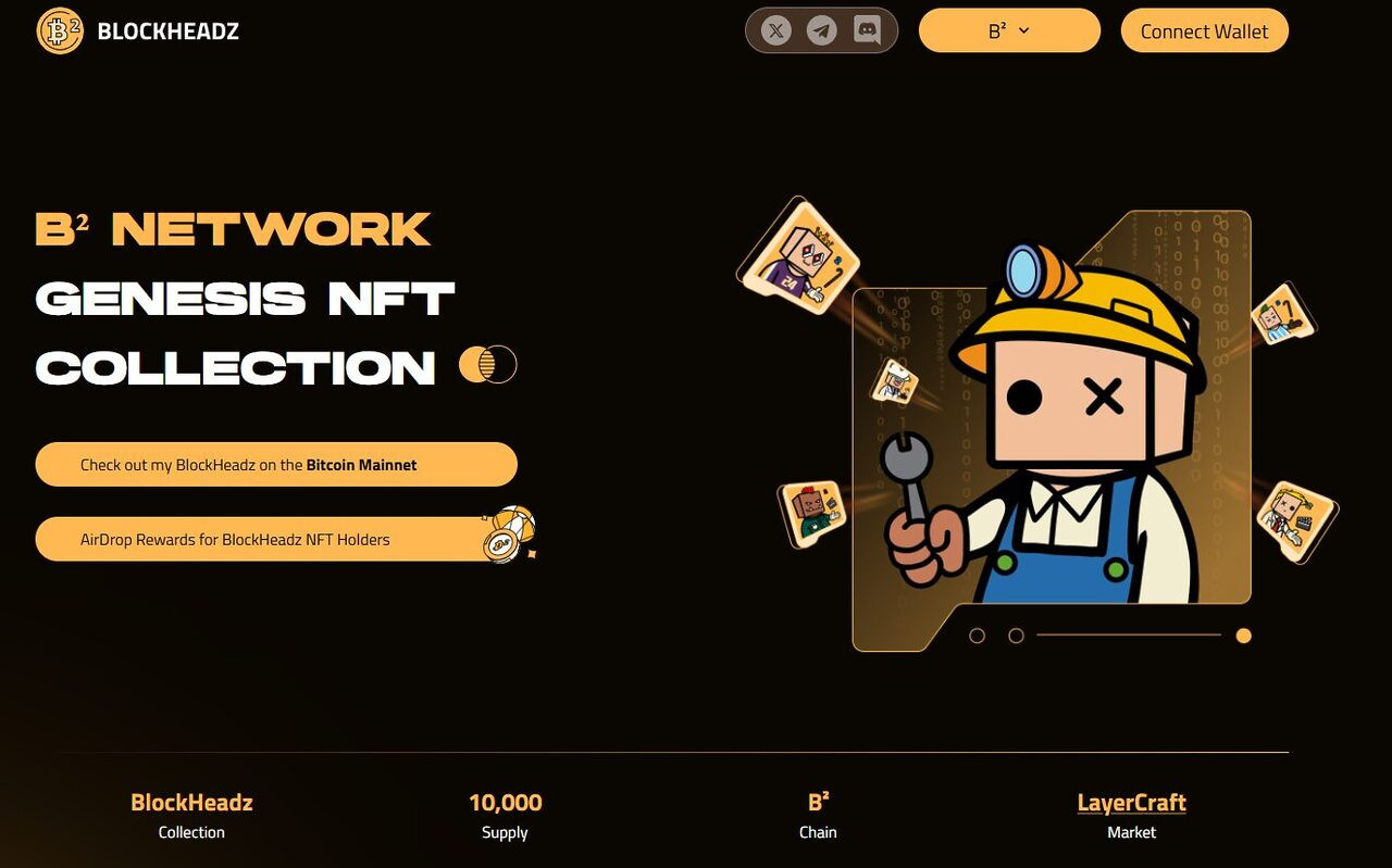 Sản phẩm Blockheads trong Bsquare
