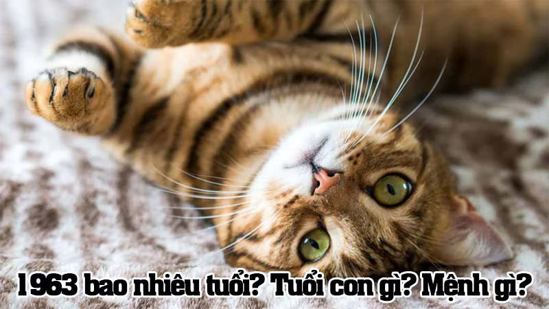 1963 Năm Nay Bao Nhiêu Tuổi? Tính Tuổi Chính Xác Với Phong Thủy