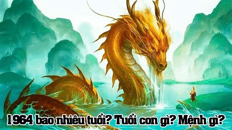 Sinh năm 1964 bao nhiêu tuổi?