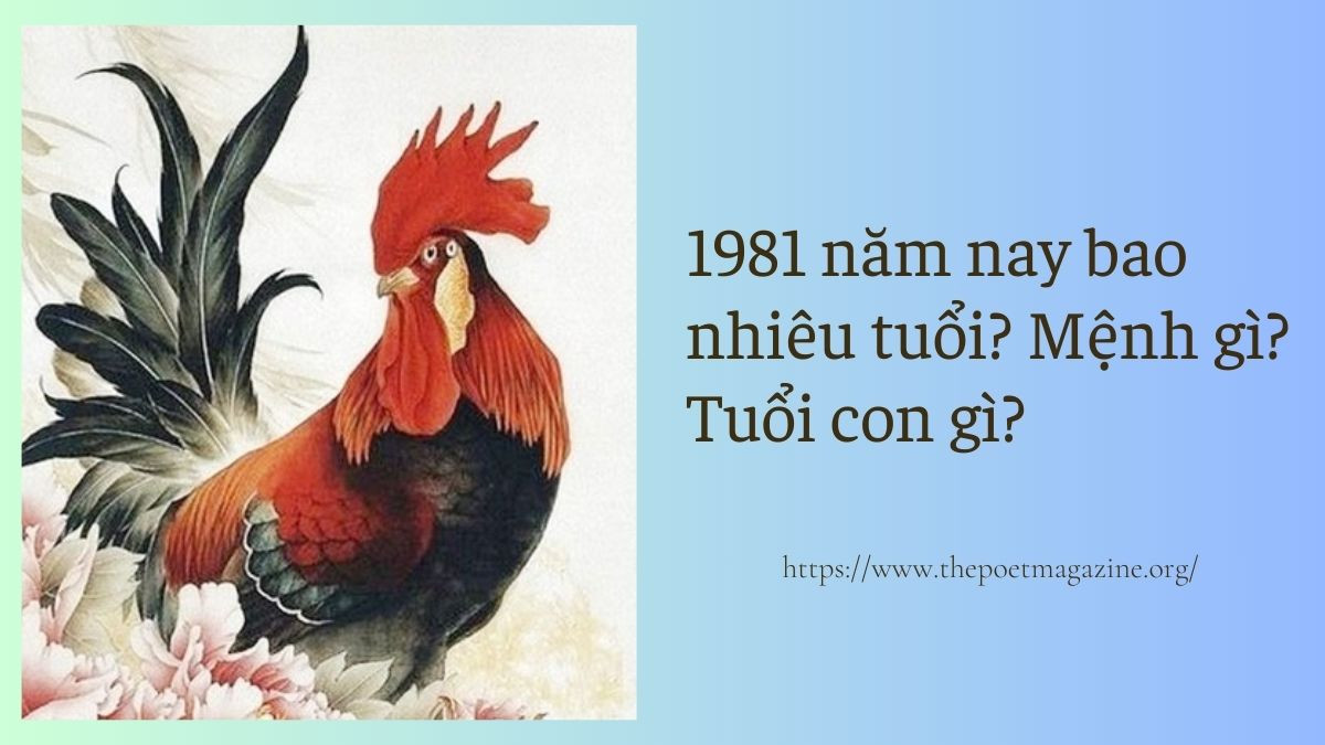 Sinh năm 1981 bao nhiêu tuổi và những điều cần biết