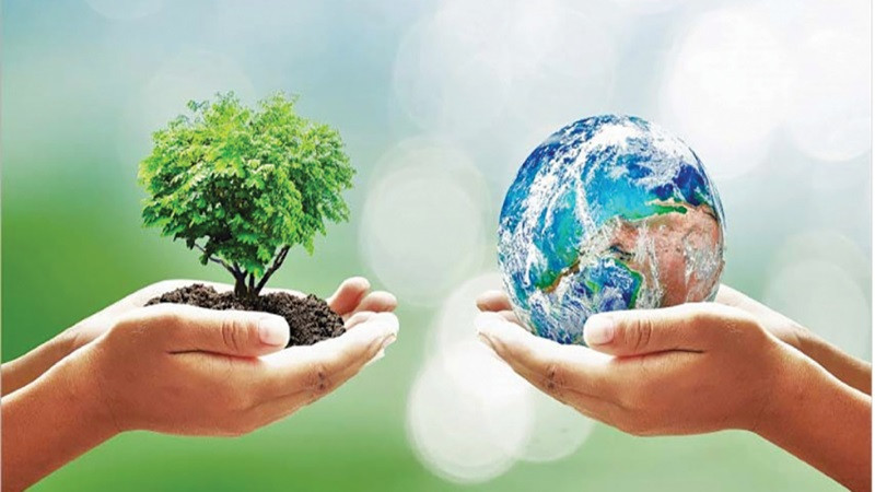Slogan bảo vệ môi trường gây ấn tượng và ý nghĩa sâu sắc