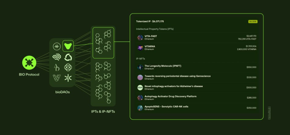 Bio Protocol (BIO) là gì? Dự án khoa học phi tập trung được Binance Labs đầu tư