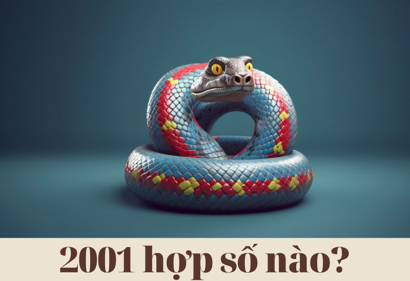 Năm 2001 hợp số nào? Tính cách và ý nghĩa phong thủy
