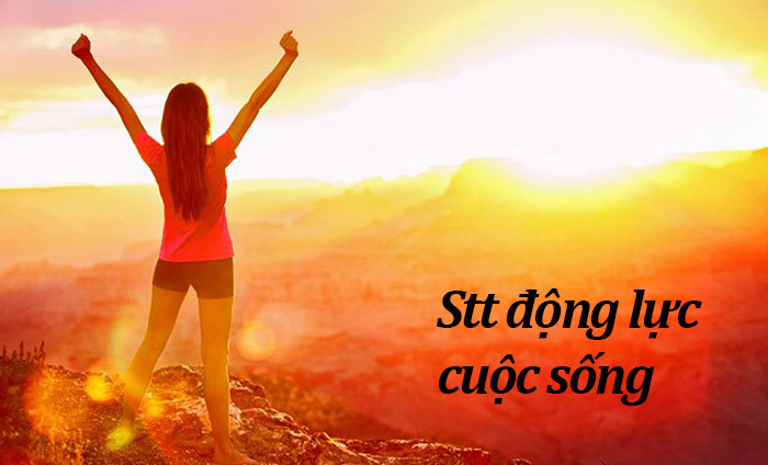 50+ Stt Hay Về Cuộc Đời Đầy Ý Nghĩa Sâu Sắc