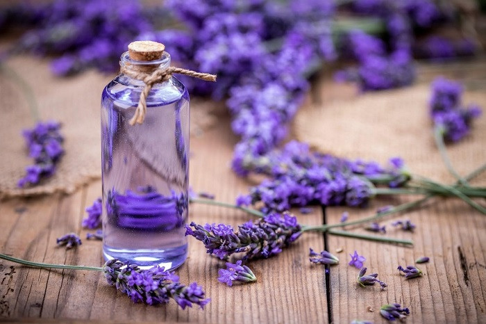 Sử dụng tinh dầu hoa oải hương để cải thiện da