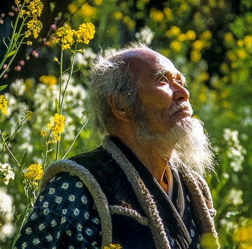 tác giả sách Gieo Mầm Trên Sa Mạc - Masanobu Fukuoka