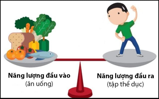 Tầm quan trọng của thâm hụt calo trong giảm cân
