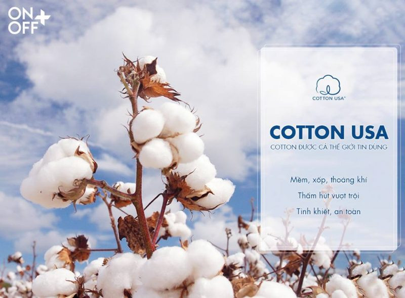 Tất Cotton