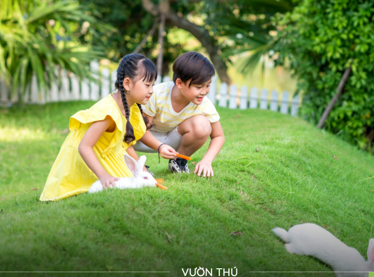 Tiện Ích Xanh Villas