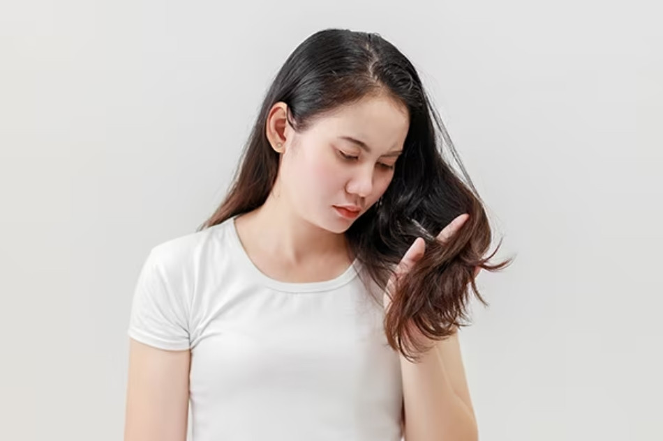 Tiêu Chí Lựa Chọn Dầu Gội Dưỡng Ẩm Cho Da Đầu