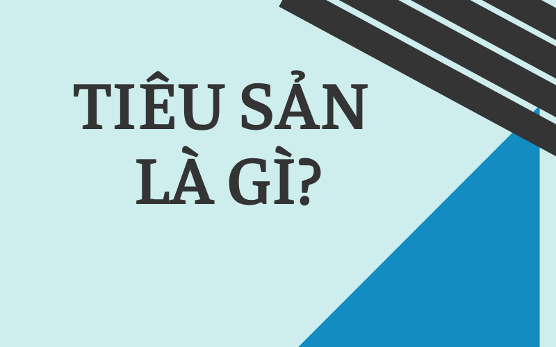 Sự Khác Biệt Giữa Tài Sản và Tiêu Sản: Định Nghĩa và Ý Nghĩa Quan Trọng