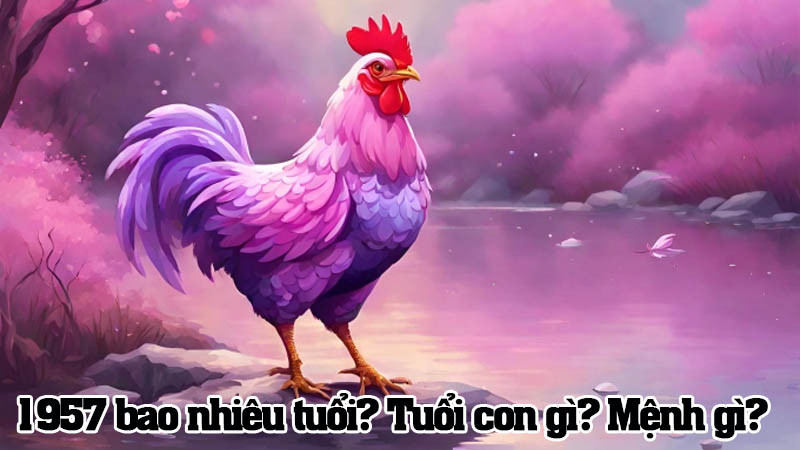 Tìm hiểu sinh năm 1957 năm nay bao nhiêu tuổi?