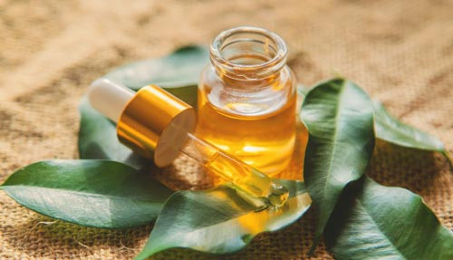 Tinh dầu tràm trà